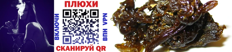 ГАШ hashish Сурск