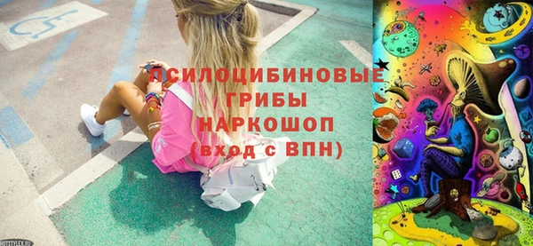 дмт Новодвинск