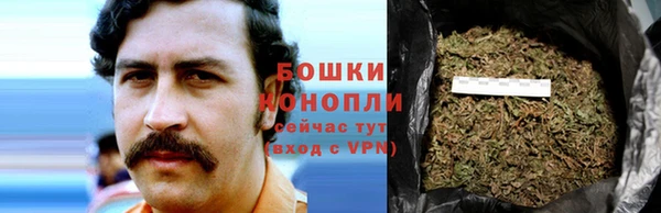 дурь Нея