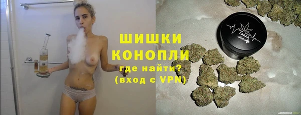 дурь Нея