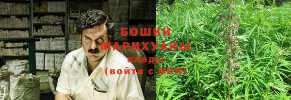 дурь Нея