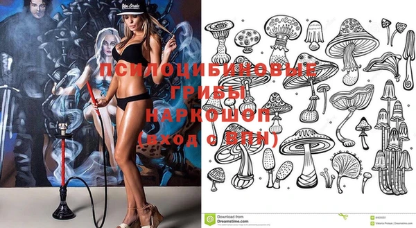 тгк Нефтекумск