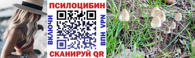 Галлюциногенные грибы ЛСД Купить Сурск